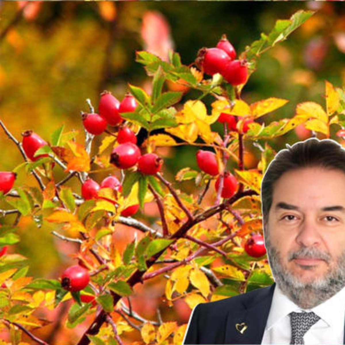 Hipertoniyaya Qarşı Kapsullar